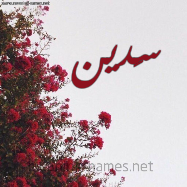شكل 18 صوره الورد الأحمر للإسم بخط رقعة صورة اسم سَدين Sadin