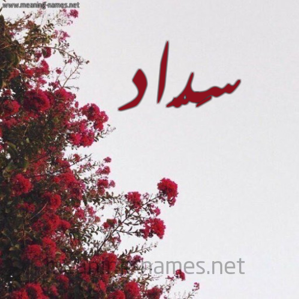 شكل 18 صوره الورد الأحمر للإسم بخط رقعة صورة اسم سَدّاد SADAD