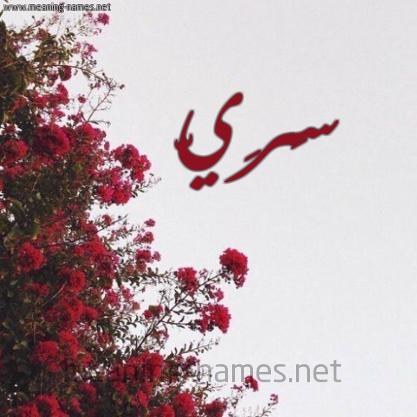 شكل 18 صوره الورد الأحمر للإسم بخط رقعة صورة اسم سَرِيّ SAREI