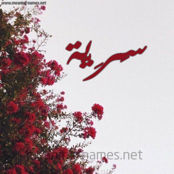 شكل 18 صوره الورد الأحمر للإسم بخط رقعة صورة اسم سَرِيَّة SAREIAH