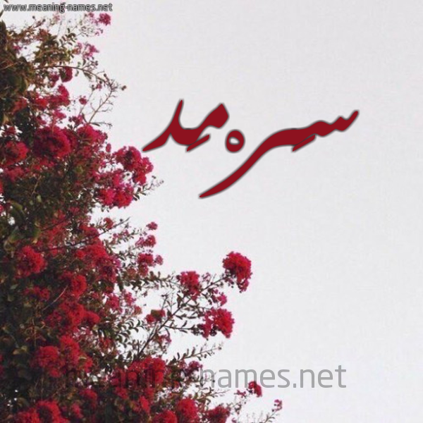 شكل 18 صوره الورد الأحمر للإسم بخط رقعة صورة اسم سَرْمَد Sarmd