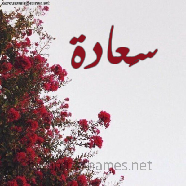 شكل 18 صوره الورد الأحمر للإسم بخط رقعة صورة اسم سَعادة SAAADH