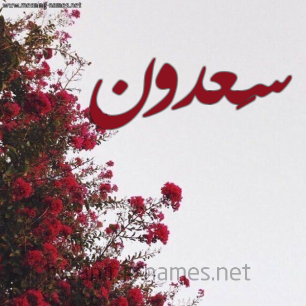 شكل 18 صوره الورد الأحمر للإسم بخط رقعة صورة اسم سَعدون SAADON