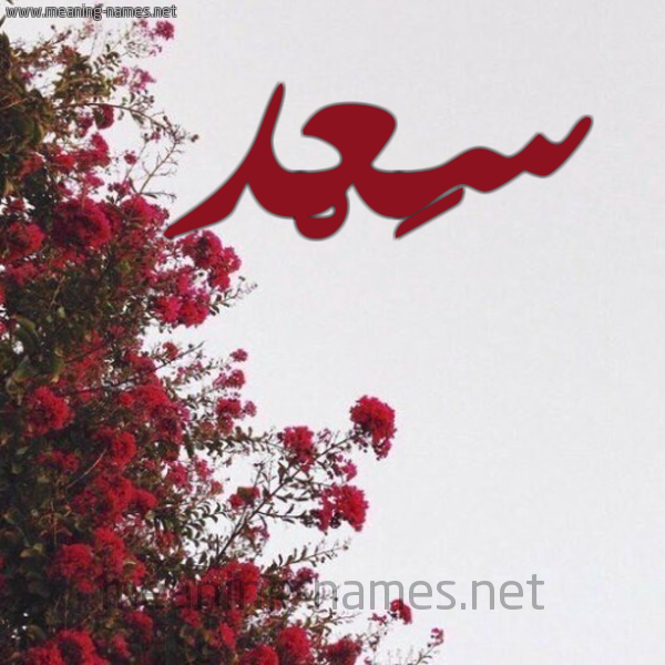 شكل 18 صوره الورد الأحمر للإسم بخط رقعة صورة اسم سَعْد Saad