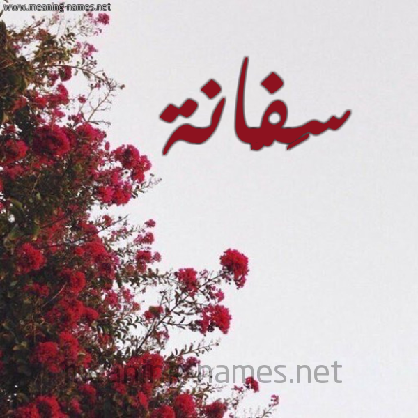 شكل 18 صوره الورد الأحمر للإسم بخط رقعة صورة اسم سَفَّانة SAFAANH