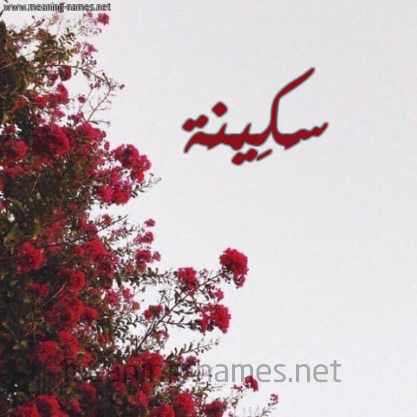 شكل 18 صوره الورد الأحمر للإسم بخط رقعة صورة اسم سَكِيْنَة SAKEINAH