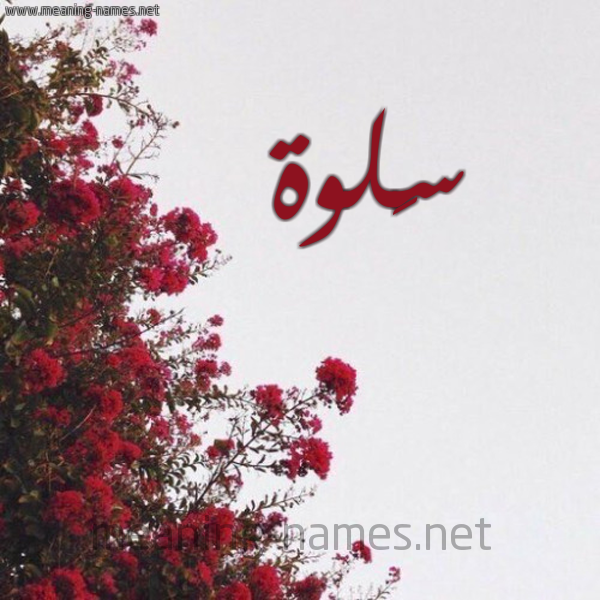 شكل 18 صوره الورد الأحمر للإسم بخط رقعة صورة اسم سَلوة SALOH