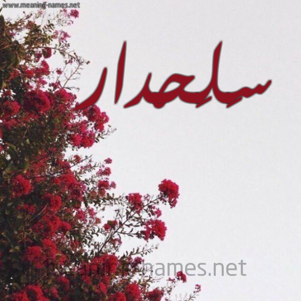شكل 18 صوره الورد الأحمر للإسم بخط رقعة صورة اسم سَلَحْدار SALAHDAR