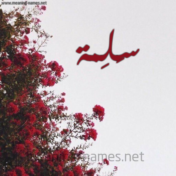شكل 18 صوره الورد الأحمر للإسم بخط رقعة صورة اسم سَلِمة SALEMH