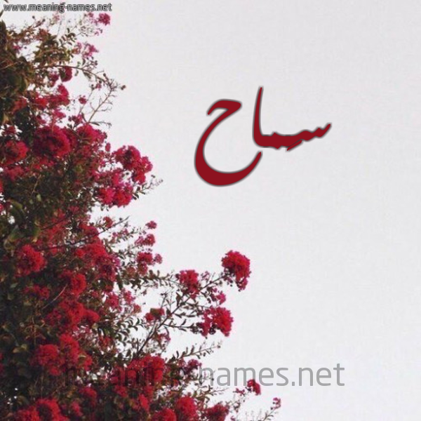 شكل 18 صوره الورد الأحمر للإسم بخط رقعة صورة اسم سَماح Samah