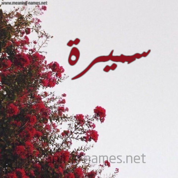 شكل 18 صوره الورد الأحمر للإسم بخط رقعة صورة اسم سَميرة SAMIRa