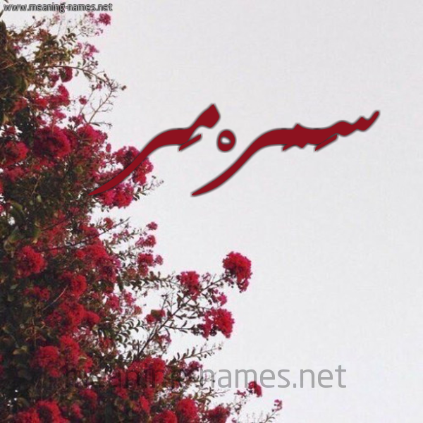 شكل 18 صوره الورد الأحمر للإسم بخط رقعة صورة اسم سَمَرْمَر SAMARMAR