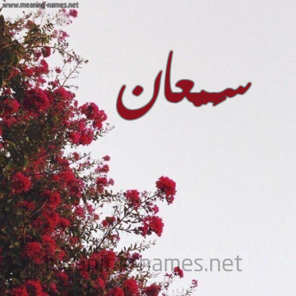 شكل 18 صوره الورد الأحمر للإسم بخط رقعة صورة اسم سَمْعان SAMAAN