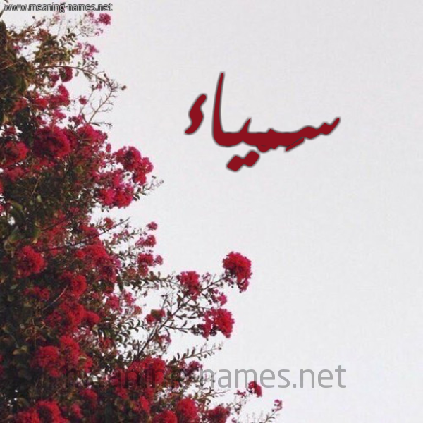 شكل 18 صوره الورد الأحمر للإسم بخط رقعة صورة اسم سَمْياء SAMIAA