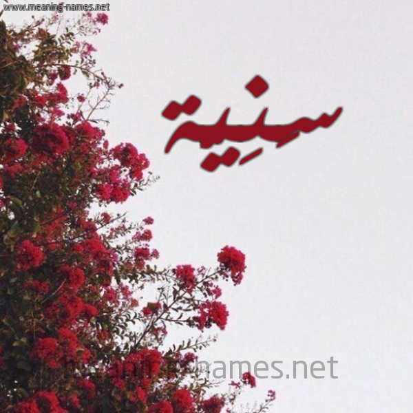 شكل 18 صوره الورد الأحمر للإسم بخط رقعة صورة اسم سَنِيَّة SANEIAH