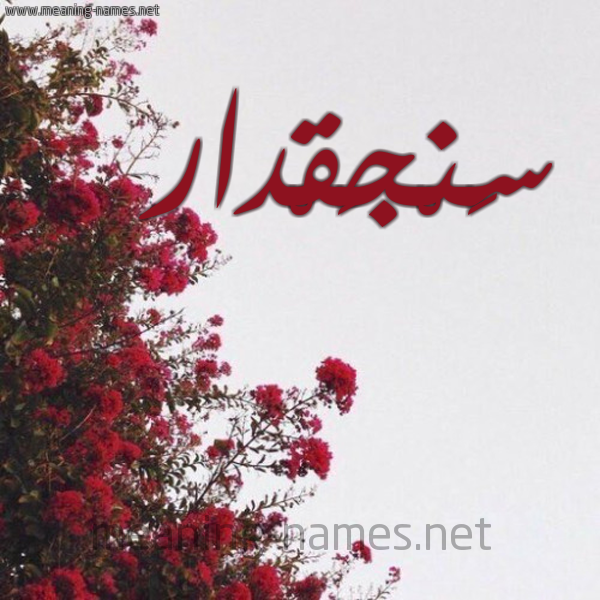 شكل 18 صوره الورد الأحمر للإسم بخط رقعة صورة اسم سَنْجَقْدار SANGAQDAR