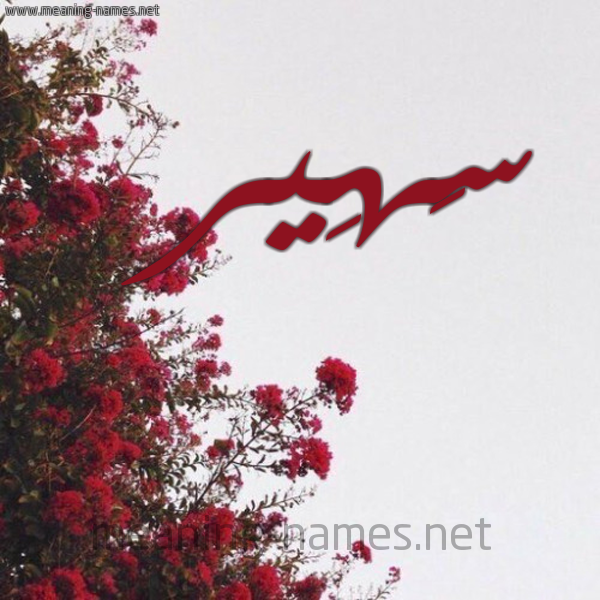 شكل 18 صوره الورد الأحمر للإسم بخط رقعة صورة اسم سَهِير SAHEIR