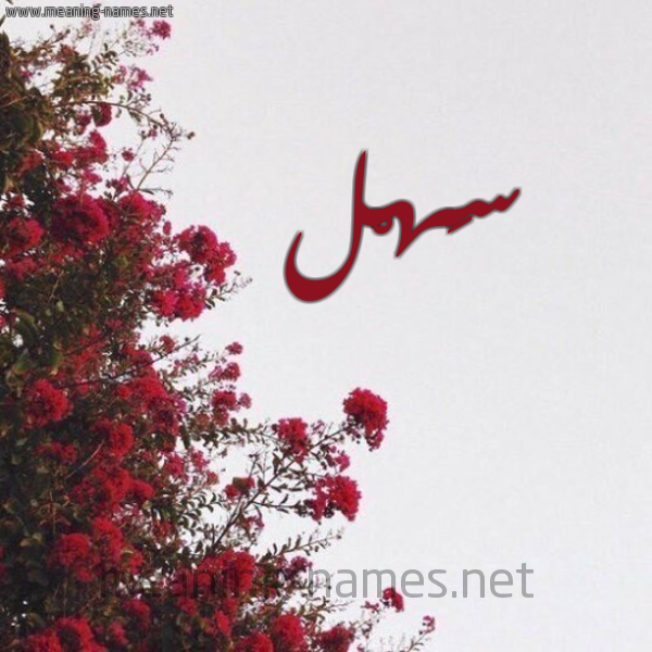 شكل 18 صوره الورد الأحمر للإسم بخط رقعة صورة اسم سَهْل SAHL