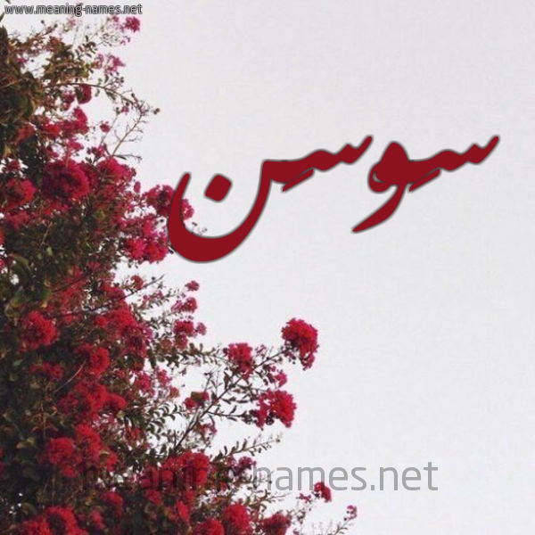 شكل 18 صوره الورد الأحمر للإسم بخط رقعة صورة اسم سَوْسَن SAOSAN
