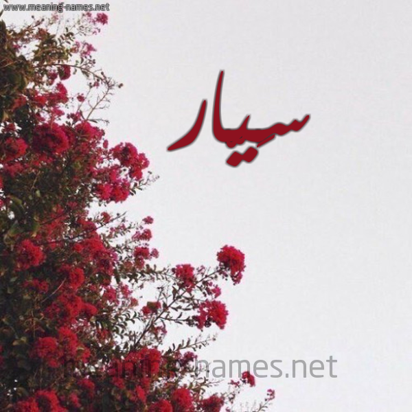 شكل 18 صوره الورد الأحمر للإسم بخط رقعة صورة اسم سَيّار SAIAR