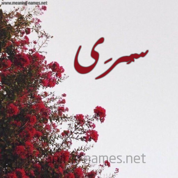شكل 18 صوره الورد الأحمر للإسم بخط رقعة صورة اسم سُرَى Soraa