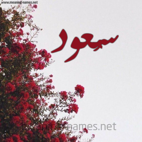 شكل 18 صوره الورد الأحمر للإسم بخط رقعة صورة اسم سُعود SOAOD