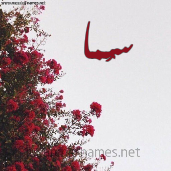 شكل 18 صوره الورد الأحمر للإسم بخط رقعة صورة اسم سُما SOMA
