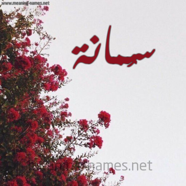 شكل 18 صوره الورد الأحمر للإسم بخط رقعة صورة اسم سُمانة SOMANH