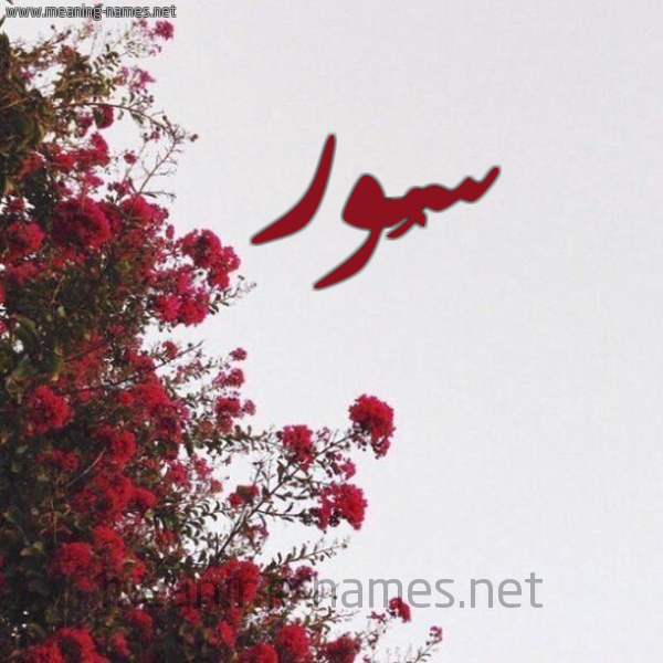 شكل 18 صوره الورد الأحمر للإسم بخط رقعة صورة اسم سُور SOOR