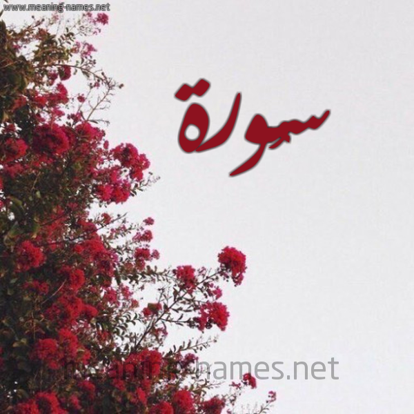 شكل 18 صوره الورد الأحمر للإسم بخط رقعة صورة اسم سُورة SOORH