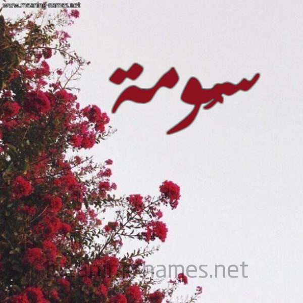 شكل 18 صوره الورد الأحمر للإسم بخط رقعة صورة اسم سُومة SOOMH
