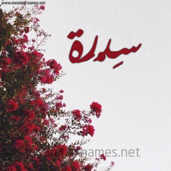 شكل 18 صوره الورد الأحمر للإسم بخط رقعة صورة اسم سِدْرَة Serdrah