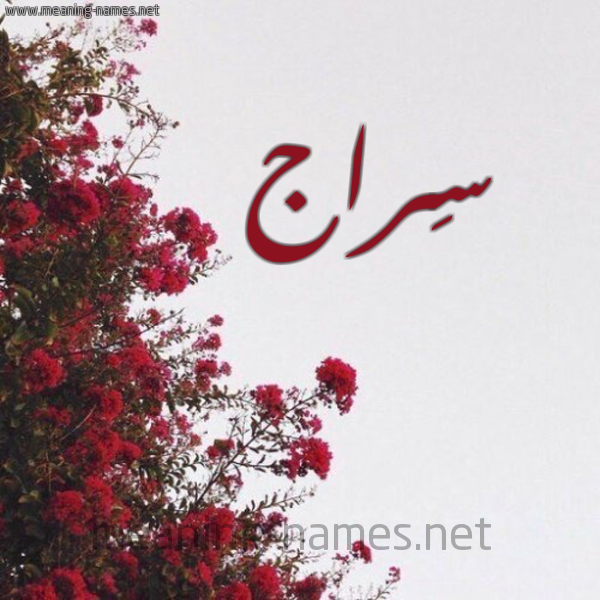 شكل 18 صوره الورد الأحمر للإسم بخط رقعة صورة اسم سِراج SERAG