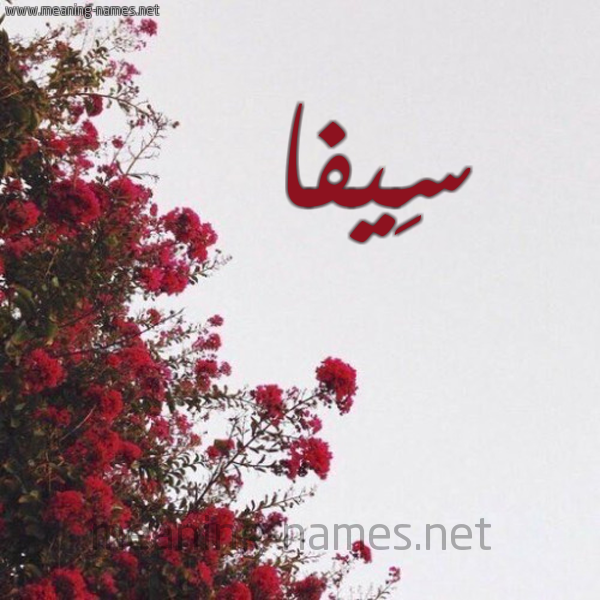 شكل 18 صوره الورد الأحمر للإسم بخط رقعة صورة اسم سِيفا SEIFA