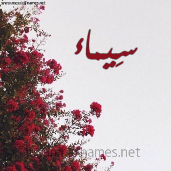 شكل 18 صوره الورد الأحمر للإسم بخط رقعة صورة اسم سِيماء SEIMAA