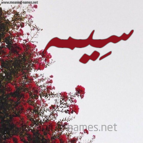 شكل 18 صوره الورد الأحمر للإسم بخط رقعة صورة اسم سِيمه SEIMH