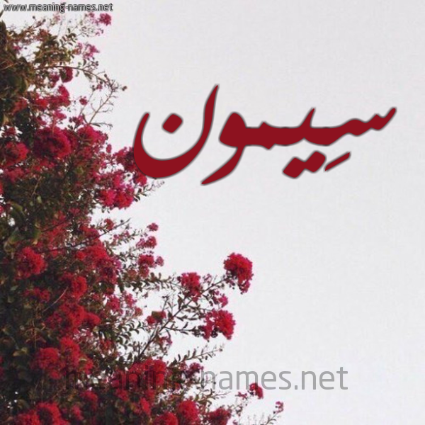 شكل 18 صوره الورد الأحمر للإسم بخط رقعة صورة اسم سِيمون Seimon