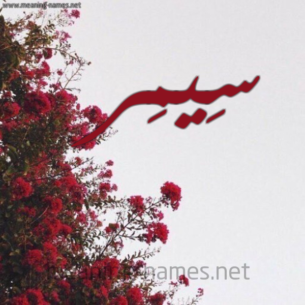 شكل 18 صوره الورد الأحمر للإسم بخط رقعة صورة اسم سِيمِر SEIMER