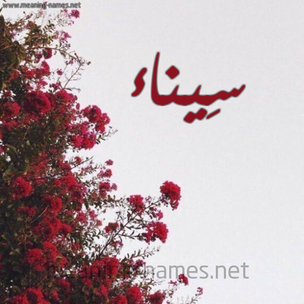 شكل 18 صوره الورد الأحمر للإسم بخط رقعة صورة اسم سِيناء SEINAA