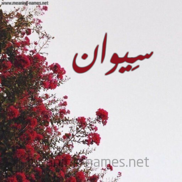 شكل 18 صوره الورد الأحمر للإسم بخط رقعة صورة اسم سِيوان SEIOAN