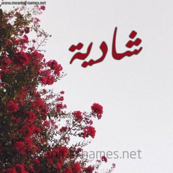 شكل 18 صوره الورد الأحمر للإسم بخط رقعة صورة اسم شادية Shadyh