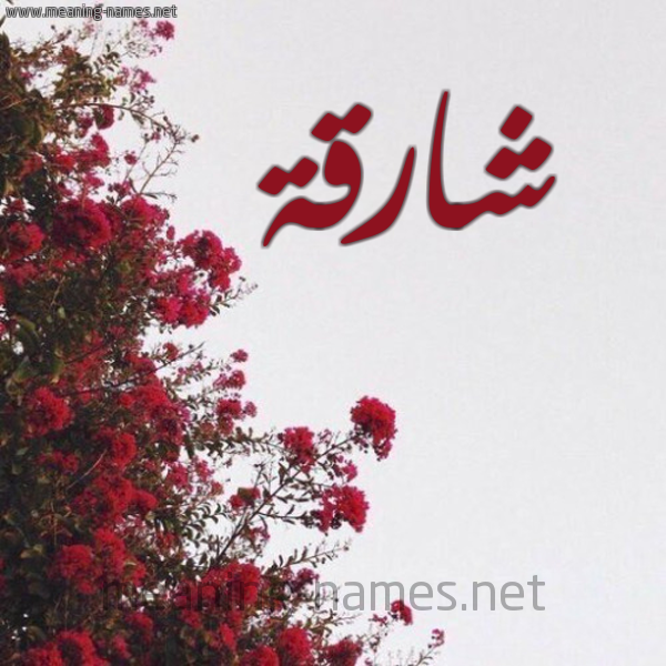 شكل 18 صوره الورد الأحمر للإسم بخط رقعة صورة اسم شارقة Shariqah