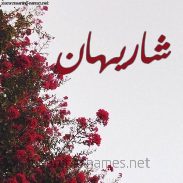 شكل 18 صوره الورد الأحمر للإسم بخط رقعة صورة اسم شاريهان SHARIHAN