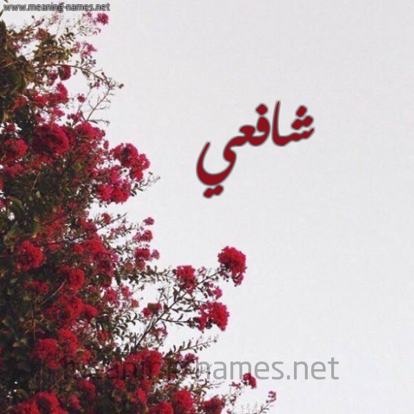شكل 18 صوره الورد الأحمر للإسم بخط رقعة صورة اسم شافعي Shaf"y