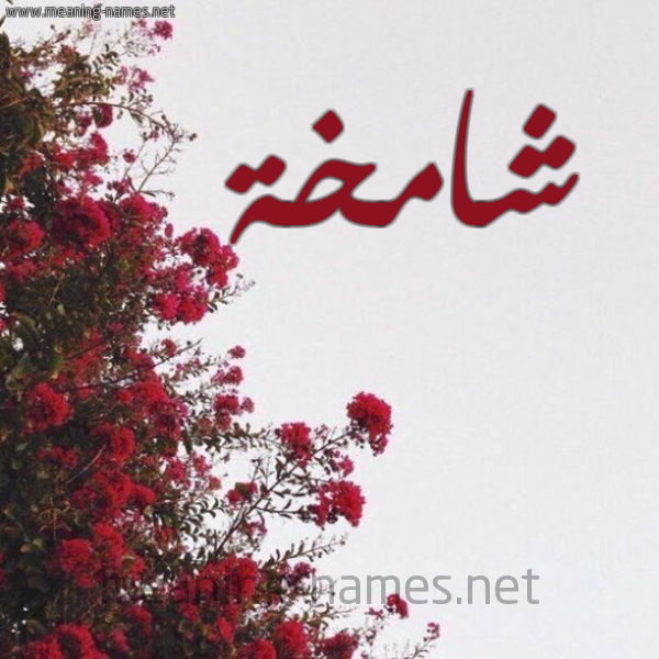 شكل 18 صوره الورد الأحمر للإسم بخط رقعة صورة اسم شامخة Shamkhh
