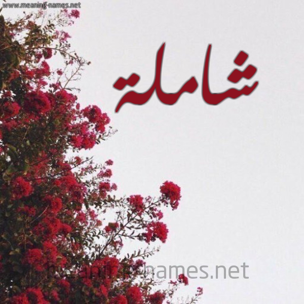 شكل 18 صوره الورد الأحمر للإسم بخط رقعة صورة اسم شاملة Shamlh