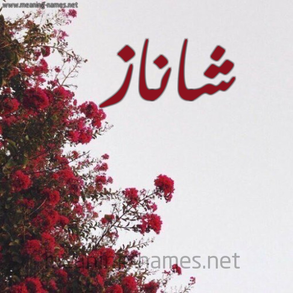 شكل 18 صوره الورد الأحمر للإسم بخط رقعة صورة اسم شاناز Chanaz