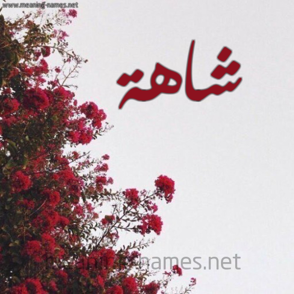 شكل 18 صوره الورد الأحمر للإسم بخط رقعة صورة اسم شاهة Shahh