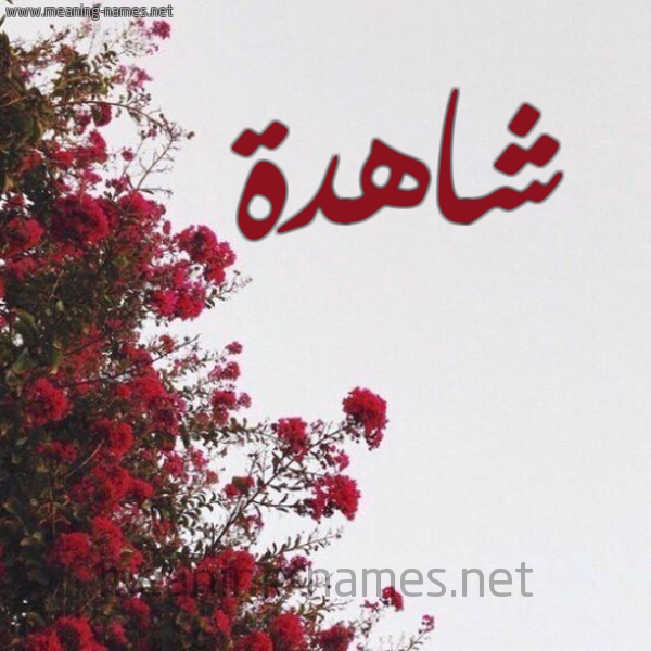 شكل 18 صوره الورد الأحمر للإسم بخط رقعة صورة اسم شاهدة SHAHDH