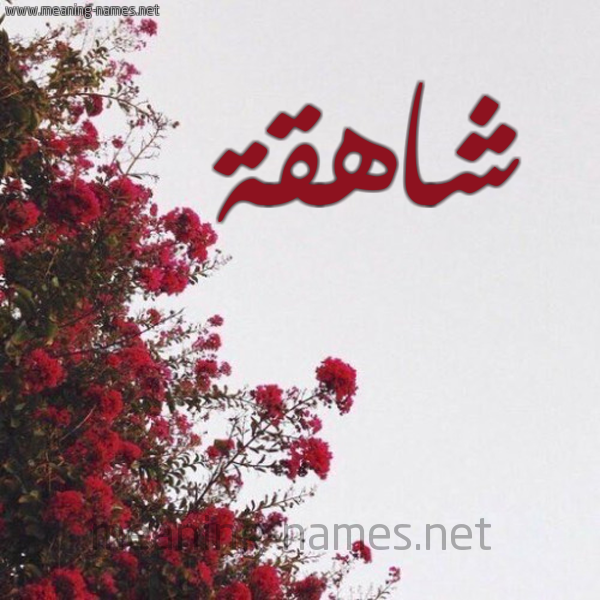 شكل 18 صوره الورد الأحمر للإسم بخط رقعة صورة اسم شاهقة SHAHQH